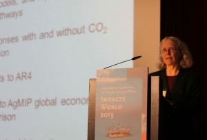 Cynthia Rosenzweig del NASA Goddard Institute for Space Studies durante su conferecia en Impacts World 2013