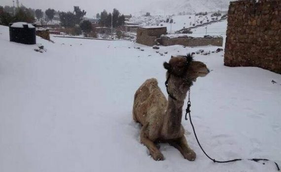 Tempestade de neve no Egito, enquanto 800 mil refugiados se encontram em estado de emergência devido à onda de chuva e frio no Líbano