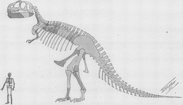 Desenterre um Dinossauro: T-Rex