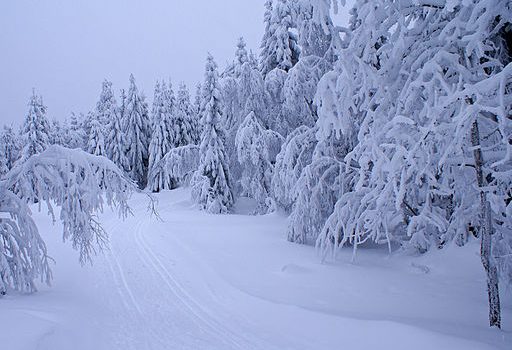 Aquecimento global poderia aumentar a quantidade de neve na Antártida