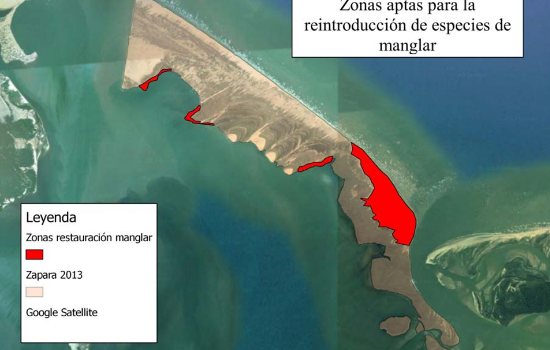 Dissertação: gestão de espaços naturais na ilha de Zapara