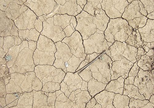 Soluções de culturas ancestrais para a seca