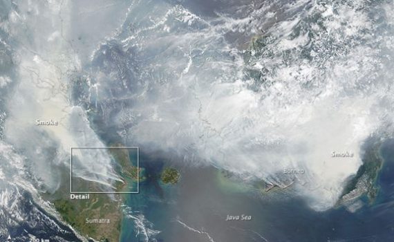 Incêndios florestais causam desastre ecológico na Indonésia