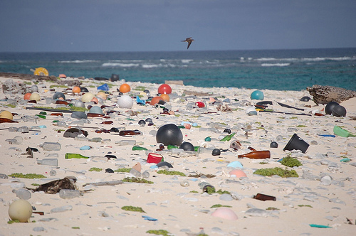 Plástico biodegradável não é a solução para a poluição marinha