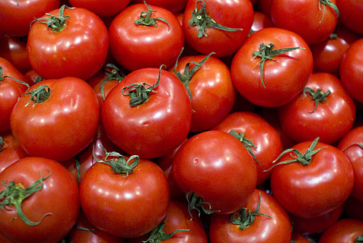 Restos de tomates se transformam em bioplástico