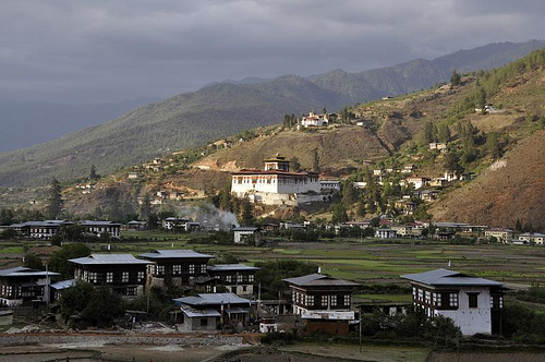 Cidadãos de Butão plantam 108 mil árvores