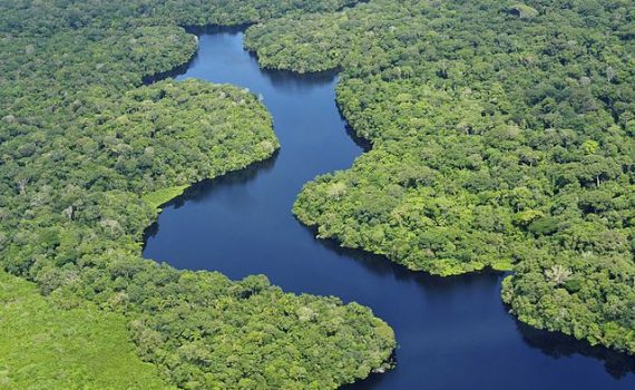 A riqueza da Floresta Amazônica em tecnologia