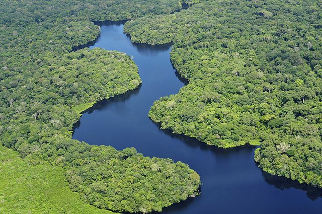 A riqueza da Floresta Amazônica em tecnologia