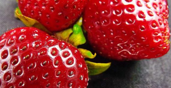 Sementes de morango têm 81% dos antioxidantes da fruta