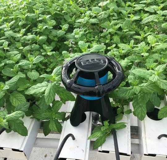 Um robô para cultivos hidropônicos