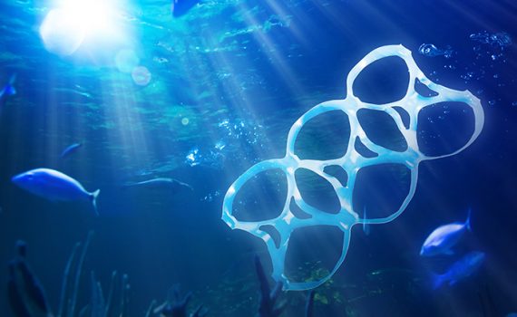 Oceanos terão mais plástico que peixes