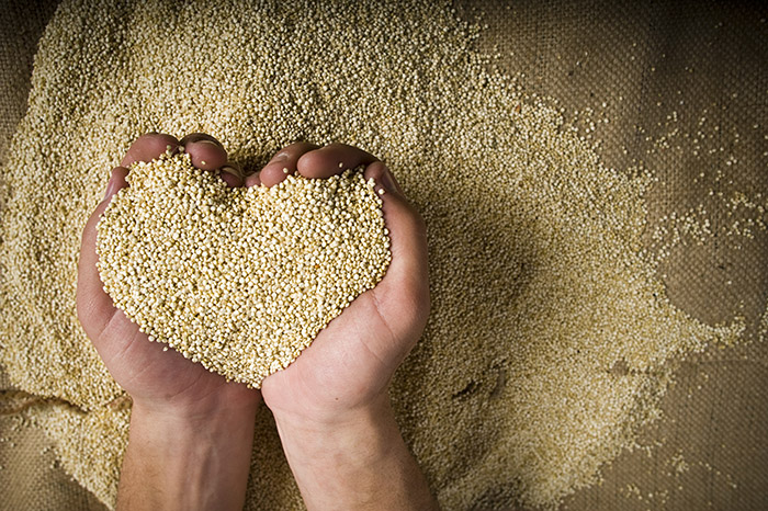 Equipe internacional estuda genoma da quinoa
