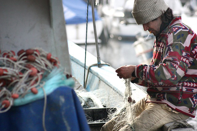 FAO cria diretrizes para rastrear a pesca