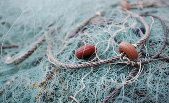 Certificado de sustentabilidade indica pescas mais ecológicas