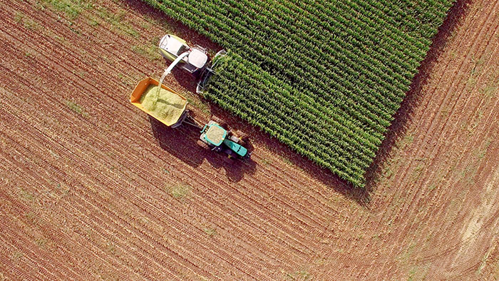 Medidas que poderiam mitigar os efeitos da agricultura na Espanha