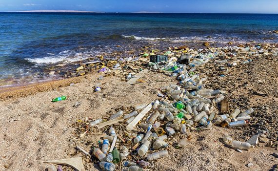 Embalagens inúteis que poluem os oceanos