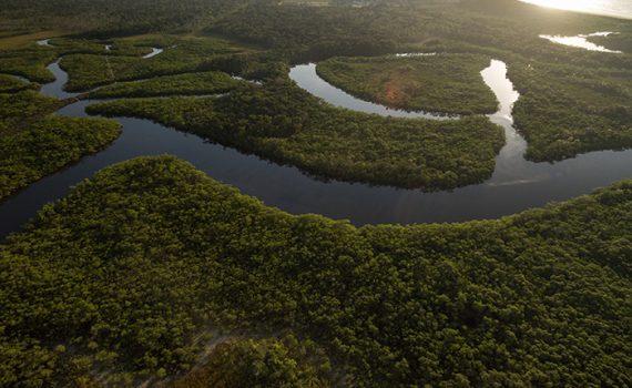 Alerta sobre impacto das mais de 500 represas no rio Amazonas