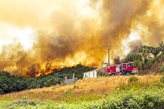 Portugal sofre consequências de incêndios florestais
