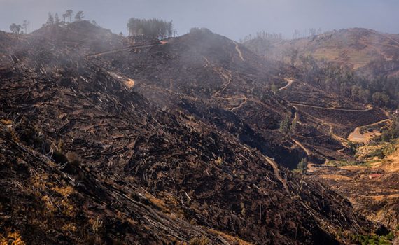 Atos humanos provocam maioria dos incêndios na Espanha