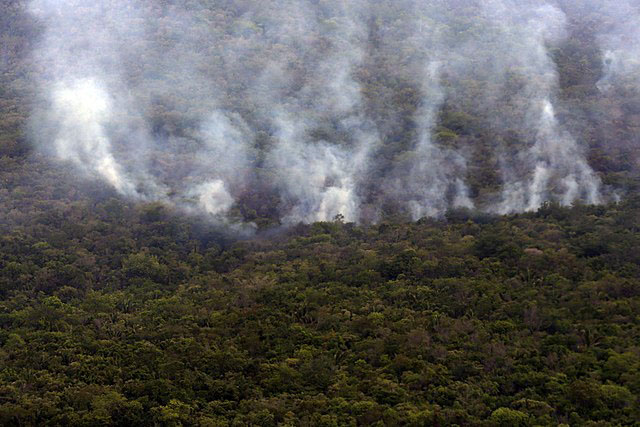 Incêndio queima 28% da maior reserva de cerrado
