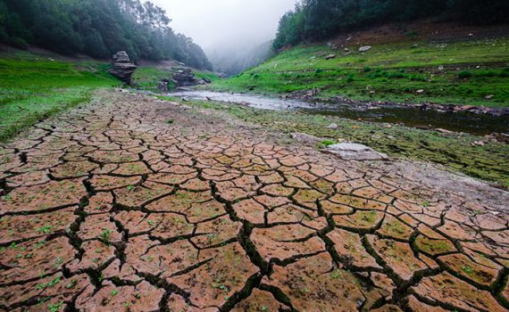 Falta de chuvas na Espanha provoca seca prolongada