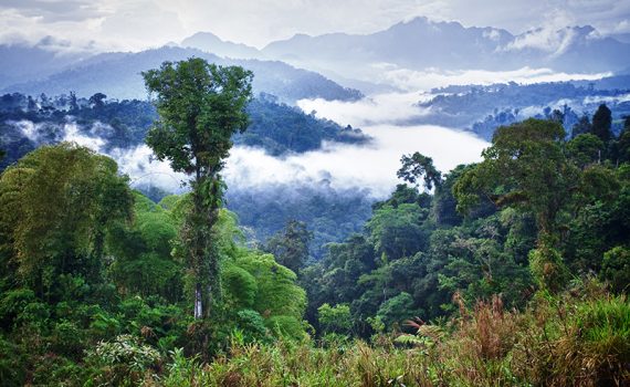 Presidente do Equador lança programa para a conservação ambiental do país
