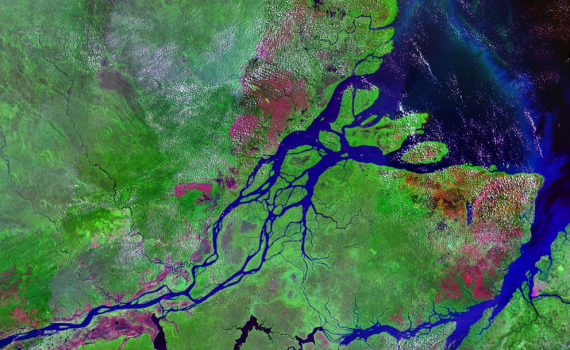 Corais da Amazônia poderiam estar ameaçados com exploração de petróleo