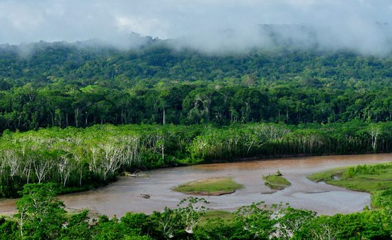 O parque com maior biodiversidade do mundo se encontra na Bolívia