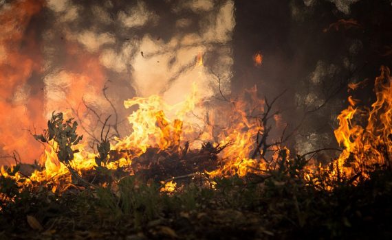 Grécia avalia causas de incêndio e erros na evacuação, após tragédia