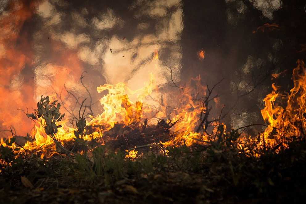 Grécia avalia causas de incêndio e erros no plano de evacuação, após tragédia