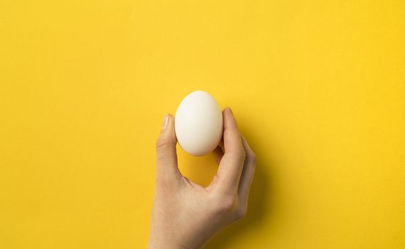 Criam sensor capaz de indicar presença de ovo na comida