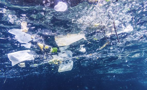 Europa dá um passo importante para a proibição de plásticos descartáveis