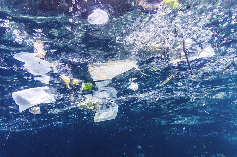 A Europa dá um passo importante para a proibição de plásticos descartáveis