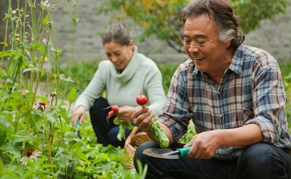A horticultura, uma atividade benéfica para os idosos