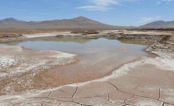 Chuva no coração do Atacama provoca morte de microrganismos