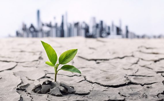 Condição dos solos poderia intensificar mudança climática, antes do previsto