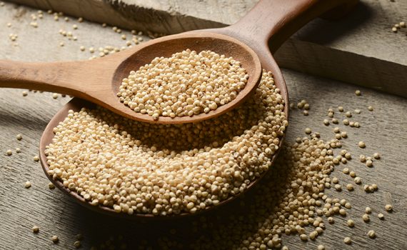 Massas feitas de sorgo, opção saudável para celíacos