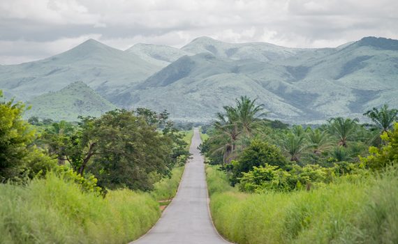 Proteja o meio ambiente com ferramentas tecnológicas