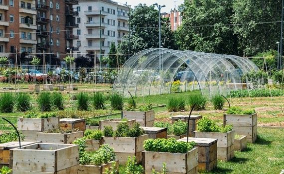 Paris terá o maior horto urbano europeu