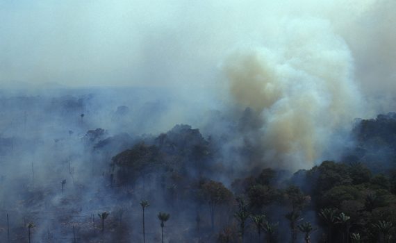 Amazônia em estado de emergência