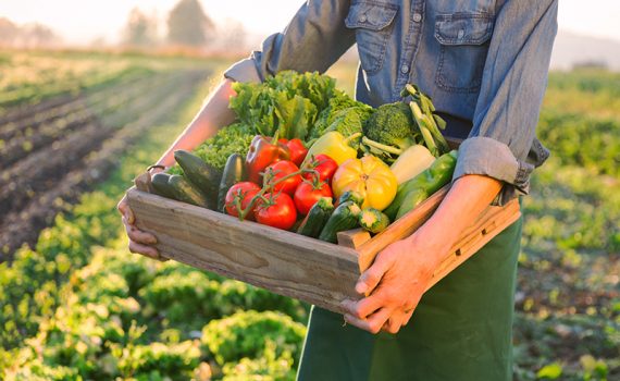 Melhorar a nutrição poderia ajudar à economia e salvar vidas