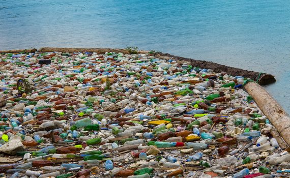 É necessário conhecer os efeitos da contaminação de plástico