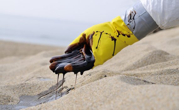 Manchas de petróleo poluem litoral nordeste brasileiro