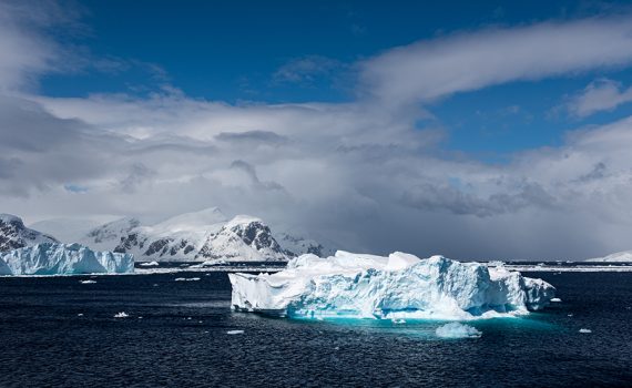 Aumenta a presença de espécies invasoras na Antártida