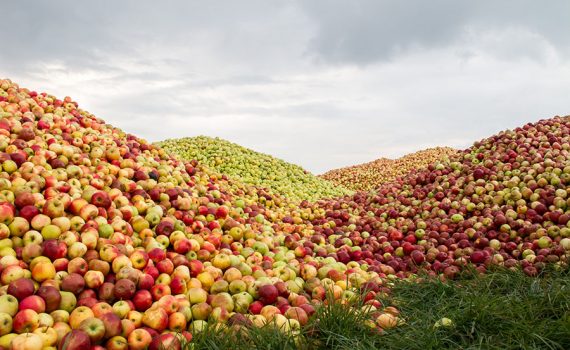 40% dos alimentos são desperdiçados