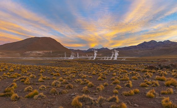 A vegetação que sobrevive no deserto do Atacama