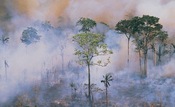 Previsão aponta aumento de até 50% dos incêndios florestais extremos