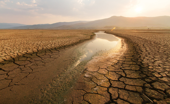Efeitos da seca agrícola