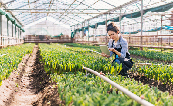 Tecnologia a favor da agricultura