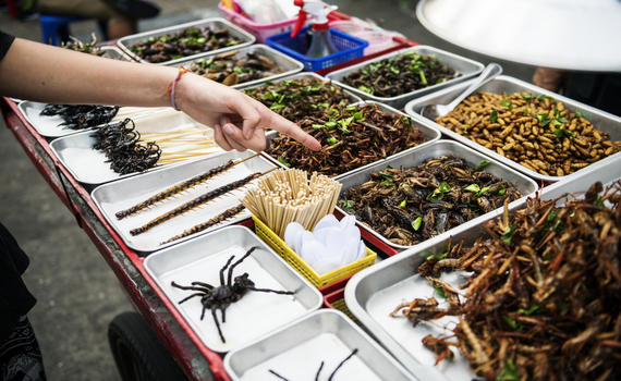 Você conhece os benefícios de comer insetos?